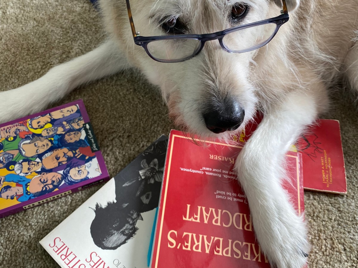 Inaugural Œ Reading&nbsp;Workshop!